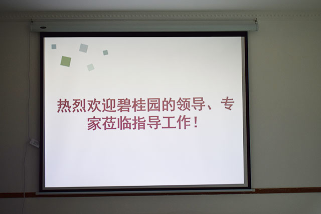 碧桂園領(lǐng)導(dǎo)、專家蒞臨德國(guó)CUALI磚麗指導(dǎo)工作